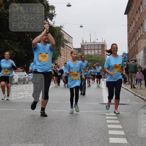 13.09.2026 - Kiel Lauf Markus Tischler http://msf.ph/oto/10453287 13.09.2026 09:54:44 Fleethörn 9399, 1589, 12463, 2227 meine-sportfotos.de