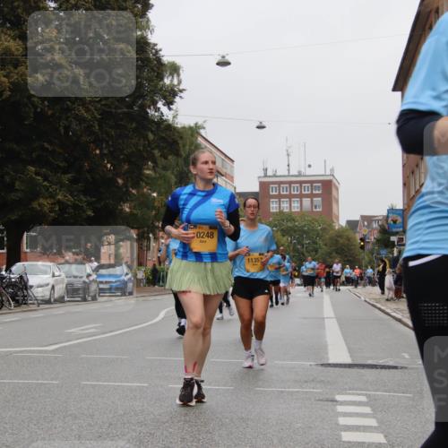 13.09.2026 - Kiel Lauf Markus Tischler http://msf.ph/oto/10453332 13.09.2026 09:54:59 Fleethörn 39, 0248, 11357 meine-sportfotos.de