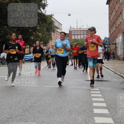 13.09.2026 - Kiel Lauf Markus Tischler http://msf.ph/oto/10453377 13.09.2026 09:55:29 Fleethörn 1273, 7548, 7509, 13 meine-sportfotos.de