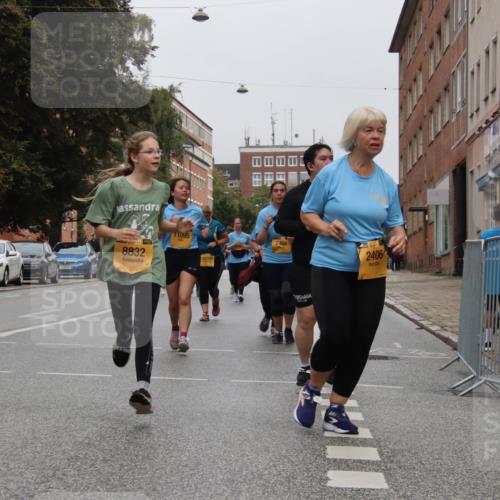 13.09.2026 - Kiel Lauf Markus Tischler http://msf.ph/oto/10453432 13.09.2026 09:55:50 Fleethörn 8832, 11095, 2406 meine-sportfotos.de