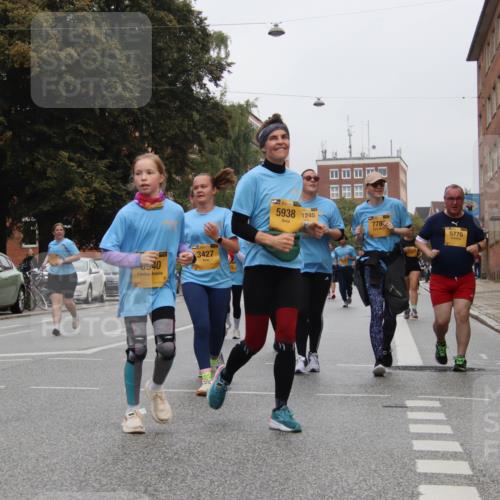 13.09.2026 - Kiel Lauf Markus Tischler http://msf.ph/oto/10453470 13.09.2026 09:56:02 Fleethörn 940, 3427, 15, 5938, 1245, 778, 5776 meine-sportfotos.de