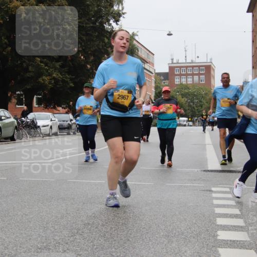 13.09.2026 - Kiel Lauf Markus Tischler http://msf.ph/oto/10453624 13.09.2026 09:57:55 Fleethörn 11456, 139, 2967, 357, 9332, 75 meine-sportfotos.de