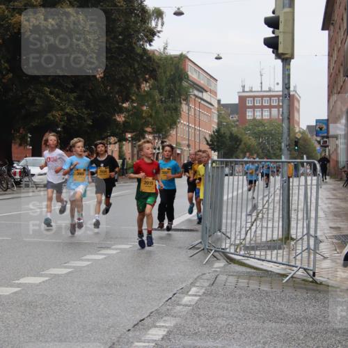 13.09.2026 - Kiel Lauf Markus Tischler http://msf.ph/oto/10453984 13.09.2026 08:51:42 Fleethörn 3901, 7034, 2015, 3557 meine-sportfotos.de