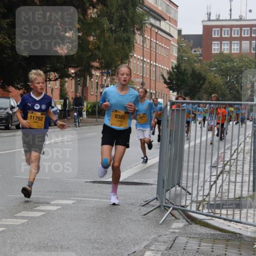 13.09.2026 - Kiel Lauf Markus Tischler http://msf.ph/oto/10454062 13.09.2026 08:52:08 Fleethörn 35, 11752, 1, 35, 9381, 1647 meine-sportfotos.de