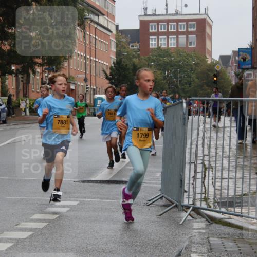 13.09.2026 - Kiel Lauf Markus Tischler http://msf.ph/oto/10454085 13.09.2026 08:52:19 Fleethörn 611, 39, 7881, 7611, 1, 38, 1799 meine-sportfotos.de