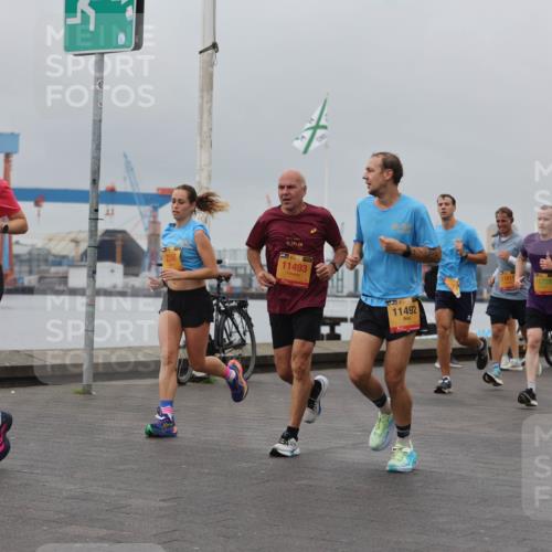 13.09.2026 - Kiel Lauf Andreas Tolksdorf http://msf.ph/oto/10455116 13.09.2026 11:55:18 Kiellinie 38, 7770, 2350, 42, 195, 11493, 11492, 11811, 11728, 4 meine-sportfotos.de