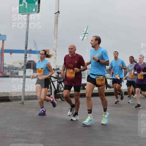 13.09.2026 - Kiel Lauf Andreas Tolksdorf http://msf.ph/oto/10455120 13.09.2026 11:55:18 Kiellinie 4, 39, 7770, 2350, 42, 195, 11493, 39, 11492, 4 meine-sportfotos.de