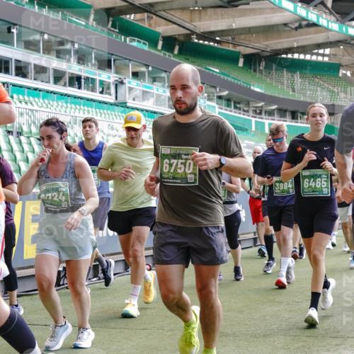 13.09.2026 - 21. swb-Marathon Bremen Michael Burmester http://msf.ph/oto/10455607 13.09.2026 13:11:01 Laufen im Stadion 164, 265, 373, 448, 581, 703, 869, 984, 1113, 1180, 1738, 1851, 1855, 1867, 1894, 1936, 1952, 1967, 2202, 2232, 2268, 2281, 2284, 2299, 2330, 2333, 2339, 2342, 2353, 2426, 2432, 2443, 2530, 2531, 2553, 2573, 2589, 2594, 2654, 2659, 2669, 2682, 2714, 2717, 2784, 2785, 2804, 2819, 2822, 2836, 2907, 2920, 2932, 2976, 3026, 3027, 3032, 3063, 3079, 3082, 3086, 3089, 3122, 3159, 3174, 3207, 3208, 3291, 3328, 3352, 3370, 3409, 3410, 3470, 3549, 3769, 551 meine-sportfotos.de