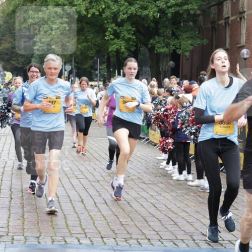 13.09.2026 - Kiel Lauf Yannick Fuchs http://msf.ph/oto/10458273 13.09.2026 09:50:42 Ziel 797, 1545, 3289, 3838, 4145, 4389, 5851, 6455, 6592, 7134, 7585, 7662, 7694, 8405, 8407, 8672, 9550, 9990, 10155, 10333, 10865, 12319, 12705, 1366, 1545, 2811, 2816, 3289, 3561, 3698, 4229, 5184, 5254, 5535, 5596, 5619, 7864, 8023, 8042, 9109, 9549, 9683, 9793, 10108, 10302, 10487, 10491, 10548, 10653, 12319, 12705, 249, 468, 763, 764, 1373, 1776, 1949, 3723, 5235, 6115, 6118, 6138, 6336, 6647, 6794, 6829, 6893, 7449, 7528, 9551, 11047, 11141, 11652, 12103, 12727, 12834 meine-sportfotos.de