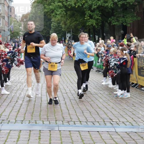 13.09.2026 - Kiel Lauf Yannick Fuchs http://msf.ph/oto/10459853 13.09.2026 09:51:52 Ziel 803, 1100, 1309, 1967, 1999, 2002, 4230, 6188, 7007, 7302, 9829, 9833, 10048, 11834, 12630, 714, 840, 940, 956, 2483, 3089, 3674, 4615, 4822, 4907, 5595, 5731, 5913, 6057, 6363, 6648, 7622, 8097, 8150, 9833, 11143, 11173, 11233, 11494, 11552, 11852, 11997, 12107, 896, 1899, 4132, 4166, 4883, 6471, 6625, 8729, 9616, 10371, 10620, 11300, 11444, 11445, 11580, 11832, 12068, 940, 956, 2466, 4217, 6009 meine-sportfotos.de