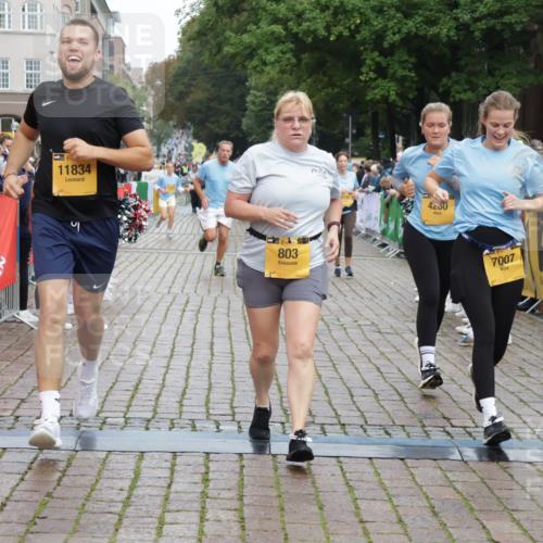 13.09.2026 - Kiel Lauf Yannick Fuchs http://msf.ph/oto/10459867 13.09.2026 09:51:54 Ziel 803, 1100, 1309, 1967, 1999, 2002, 4230, 7007, 7302, 10048, 11445, 11832, 11834, 12630, 714, 840, 956, 1967, 1999, 2002, 2483, 3089, 3674, 4615, 4822, 4907, 5595, 5731, 5913, 6057, 6188, 6363, 6648, 7622, 8097, 8150, 9829, 9833, 11143, 11173, 11233, 11494, 11552, 11852, 11997, 12107, 896, 1899, 3476, 3832, 4132, 4166, 4883, 6471, 6625, 7347, 7494, 8729, 9616, 10371, 10620, 11300, 11444, 11580, 12068, 940, 956, 2466, 4217, 5731, 6009, 6363, 11852 meine-sportfotos.de