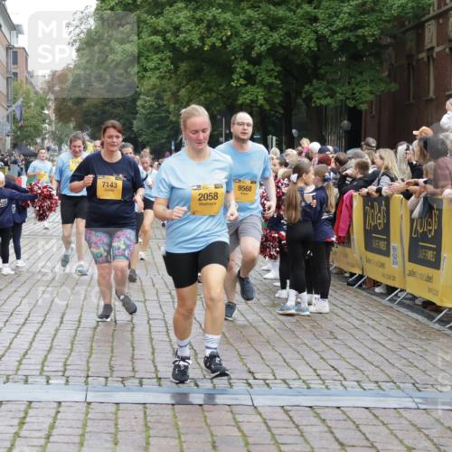 13.09.2026 - Kiel Lauf Yannick Fuchs http://msf.ph/oto/10461091 13.09.2026 09:53:21 Ziel 1417, 1718, 2058, 4920, 5779, 6180, 7143, 7541, 7552, 8260, 9568, 11059, 11312, 12284, 12493, 70, 175, 291, 1395, 2399, 3205, 3581, 4671, 6241, 6613, 6845, 7140, 7226, 7394, 7495, 8851, 9565, 9707, 10275, 12258, 12417, 12468, 92, 761, 802, 852, 1499, 2886, 2948, 2978, 4626, 5789, 5988, 6254, 7185, 7429, 8353, 8502, 10495, 10929, 11073, 291, 1092, 1395, 4412, 4671, 7394, 8068, 8851, 9345, 9565, 10280, 10798, 12258 meine-sportfotos.de