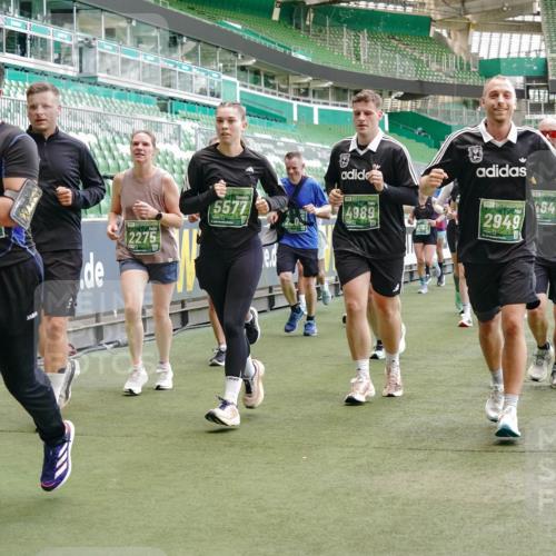 13.09.2026 - 21. swb-Marathon Bremen Michael Burmester http://msf.ph/oto/10463073 13.09.2026 13:12:40 Laufen im Stadion 118, 183, 265, 270, 278, 349, 514, 576, 695, 702, 703, 843, 933, 950, 1005, 1113, 1143, 1226, 1286, 1334, 1426, 1435, 1641, 1849, 1851, 1936, 1952, 1991, 2005, 2248, 2264, 2281, 2299, 2336, 2353, 2375, 2377, 2398, 2426, 2439, 2461, 2478, 2505, 2612, 2659, 2665, 2673, 2684, 2765, 2773, 2792, 2804, 2815, 2816, 2822, 2850, 2860, 2884, 2895, 2907, 2921, 2963, 2966, 2975, 2976, 3016, 3027, 3079, 3082, 3143, 3155, 3159, 3253, 3277, 3293, 3308, 3313, 3328, 3349, 3434, 551 meine-sportfotos.de