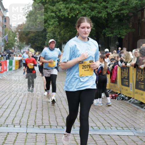 13.09.2026 - Kiel Lauf Yannick Fuchs http://msf.ph/oto/10463229 13.09.2026 09:55:18 Ziel 1354, 2079, 2186, 5883, 6102, 7322, 9117, 10609, 10743, 11564, 12514, 449, 1412, 1436, 2979, 3846, 4107, 4640, 4911, 4948, 5307, 6054, 6102, 6158, 6955, 7661, 7813, 7819, 7969, 8327, 9509, 9588, 9790, 9932, 10609, 10635, 11564, 1495, 2061, 5824, 5986, 7087, 7846, 8408, 11421, 3489, 4911, 5503, 5504, 7661, 8327 meine-sportfotos.de
