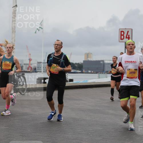 13.09.2026 - Kiel Lauf Andreas Tolksdorf http://msf.ph/oto/10463736 13.09.2026 12:04:17 Kiellinie 39, 12255, 1, 39, 930, 4, 48, 3999, 5635 meine-sportfotos.de