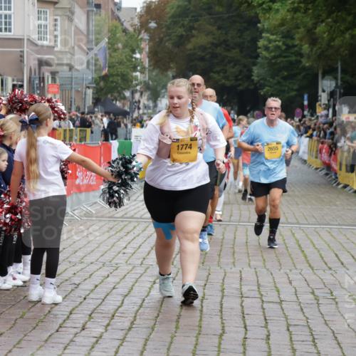 13.09.2026 - Kiel Lauf Yannick Fuchs http://msf.ph/oto/10464283 13.09.2026 09:56:36 Ziel 791, 1746, 1774, 2655, 5654, 5940, 8102, 10206, 10230, 12037, 12072, 50, 51, 1961, 2949, 3228, 3229, 4388, 5940, 6172, 6515, 6968, 8832, 9115, 10787, 11357, 11385, 11790, 12037, 12735, 12736, 12752, 4641, 4643, 5938, 7509, 7548, 8599, 9692, 1176, 5056, 8521, 10248, 10267, 11886 meine-sportfotos.de