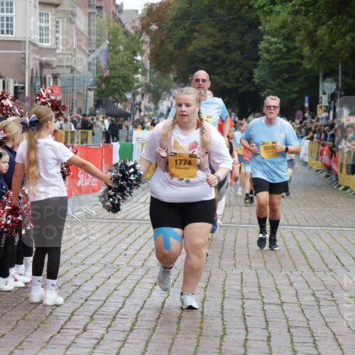 13.09.2026 - Kiel Lauf Yannick Fuchs http://msf.ph/oto/10464289 13.09.2026 09:56:36 Ziel 791, 1746, 1774, 2655, 5654, 5940, 8102, 10206, 10230, 12037, 12072, 50, 51, 1961, 2949, 3228, 3229, 4388, 5940, 6172, 6515, 6968, 8832, 9115, 10787, 11357, 11385, 11790, 12037, 12735, 12736, 12752, 4641, 4643, 5938, 7509, 7548, 8599, 9692, 1176, 5056, 8521, 10248, 10267, 11886 meine-sportfotos.de