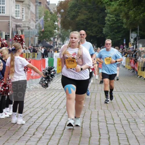 13.09.2026 - Kiel Lauf Yannick Fuchs http://msf.ph/oto/10464296 13.09.2026 09:56:36 Ziel 791, 1746, 1774, 2655, 5654, 5940, 8102, 10206, 10230, 12037, 12072, 50, 51, 1961, 2949, 3228, 3229, 4388, 5940, 6172, 6515, 6968, 8832, 9115, 10787, 11357, 11385, 11790, 12037, 12735, 12736, 12752, 4641, 4643, 5938, 7509, 7548, 8599, 9692, 1176, 5056, 8521, 10248, 10267, 11886 meine-sportfotos.de