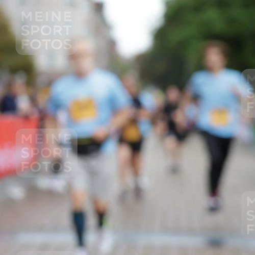 13.09.2026 - Kiel Lauf Yannick Fuchs http://msf.ph/oto/10464402 13.09.2026 09:56:58 Ziel 3684, 5938, 8599, 8824, 9692, 12580, 791, 1746, 1774, 2655, 4641, 4643, 5654, 5940, 7509, 7548, 8102, 10206, 10230, 12037, 12072, 130, 2486, 4097, 4568, 4631, 5468, 6243, 6932, 7786, 8113, 11042, 11245, 12507, 2949, 5940, 6968, 9115, 12037 meine-sportfotos.de