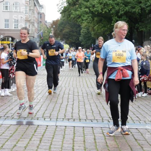 13.09.2026 - Kiel Lauf Yannick Fuchs http://msf.ph/oto/10464523 13.09.2026 09:57:10 Ziel 130, 2486, 4097, 4568, 4631, 5468, 11042, 12580, 1746, 1774, 2655, 3684, 4641, 4643, 5938, 7509, 7548, 8599, 8824, 9692, 10206, 12072, 12580, 1122, 3114, 5776, 6173, 6243, 6932, 7786, 8103, 8113, 11014, 11095, 11245, 12507, 791, 1746, 1774, 5654, 8102, 10230 meine-sportfotos.de