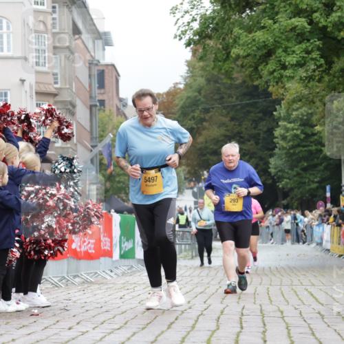 13.09.2026 - Kiel Lauf Yannick Fuchs http://msf.ph/oto/10466656 13.09.2026 10:01:04 Ziel 293, 5497, 1396, 1566, 4868, 4874, 6137, 6430, 10169, 6719, 8730 meine-sportfotos.de
