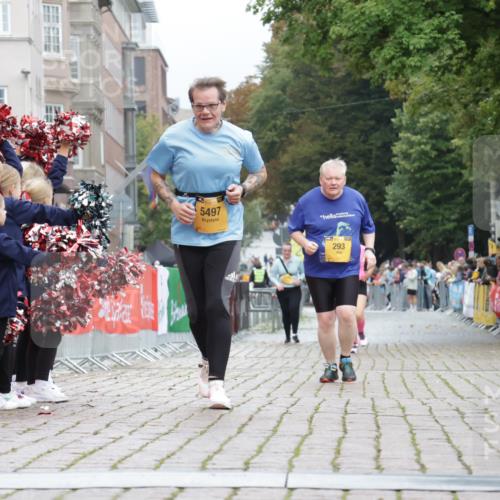 13.09.2026 - Kiel Lauf Yannick Fuchs http://msf.ph/oto/10466667 13.09.2026 10:01:04 Ziel 293, 5497, 1396, 1566, 4868, 4874, 6137, 6430, 10169, 6719, 8730 meine-sportfotos.de