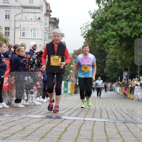 13.09.2026 - Kiel Lauf Yannick Fuchs http://msf.ph/oto/10467004 13.09.2026 10:02:33 Ziel 129, 565, 3131, 4673, 844, 3917, 4135, 4673, 8297, 2288, 3273, 6494, 844 meine-sportfotos.de