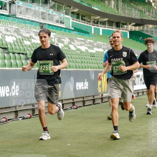 13.09.2026 - 21. swb-Marathon Bremen Michael Burmester http://msf.ph/oto/10467431 13.09.2026 12:57:15 Laufen im Stadion 307, 334, 411, 431, 465, 769, 776, 857, 876, 909, 926, 948, 1010, 1130, 1191, 1199, 1254, 1535, 1601, 1750, 1752, 1809, 1881, 1900, 1972, 2001, 2040, 2046, 2051, 2075, 2122, 2260, 2324, 2371, 2397, 2402, 2423, 2473, 2493, 2535, 2634, 2640, 2671, 2761, 2812, 2903, 2904, 2948, 3051, 3078, 3119, 3138, 3182, 3202, 3290, 3319, 3348, 3411, 3450, 3458, 3508, 3514, 3634, 3685, 3690, 3695, 3760, 3813, 3866, 3939, 4101, 4135, 4171, 4316, 4319, 4455, 4479 meine-sportfotos.de