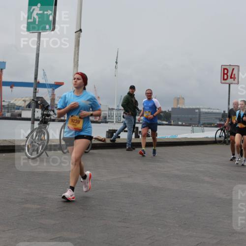 13.09.2026 - Kiel Lauf Andreas Tolksdorf http://msf.ph/oto/10469730 13.09.2026 12:09:41 Kiellinie 38, 9239, 4 meine-sportfotos.de