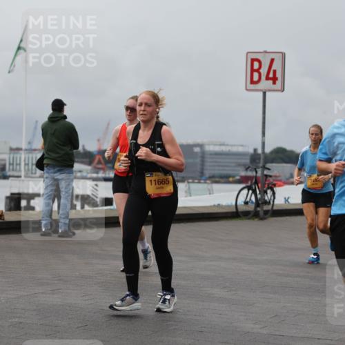 13.09.2026 - Kiel Lauf Andreas Tolksdorf http://msf.ph/oto/10470652 13.09.2026 12:10:36 Kiellinie 39, 10355, 35, 11665, 4, 39 meine-sportfotos.de