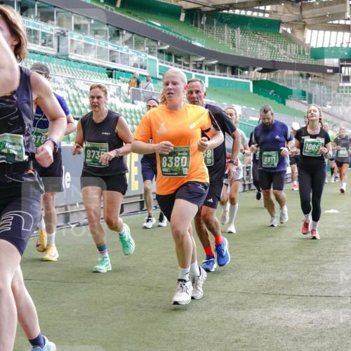 13.09.2026 - 21. swb-Marathon Bremen Michael Burmester http://msf.ph/oto/10471584 13.09.2026 13:14:47 Laufen im Stadion 263, 266, 270, 300, 414, 460, 600, 631, 768, 956, 1008, 1047, 1392, 1408, 1426, 1573, 1596, 1818, 1819, 2024, 2035, 2079, 2233, 2235, 2314, 2359, 2385, 2386, 2387, 2412, 2457, 2466, 2484, 2494, 2521, 2540, 2564, 2667, 2690, 2691, 2693, 2737, 2760, 2783, 2829, 2838, 2859, 2861, 2865, 2874, 2887, 2958, 2972, 2978, 3111, 3157, 3185, 3209, 3277, 3304, 3355, 3378, 3405, 3428, 3653, 3661, 3670, 3680, 3829, 4034, 4080, 4306, 703 meine-sportfotos.de
