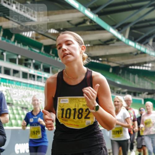 13.09.2026 - 21. swb-Marathon Bremen Michael Burmester http://msf.ph/oto/10473075 13.09.2026 10:37:43 Laufen im Stadion 10090, 10091, 10092, 10150, 10153, 10154, 10160, 10168, 10186, 10190, 10198, 10205, 10237, 10251, 10257, 10273, 10274, 10278, 10283, 10296, 10305, 10315, 10323, 10327, 10331, 10332, 10338, 10370, 10375, 10376, 10390, 10403, 10411, 10429, 10432, 10444, 10465, 10488, 10497, 10500, 10516, 10531, 10569, 10598, 10607, 10613, 10633, 10645, 10647, 10648, 10654, 10659, 10661, 10663, 10674, 10681, 10682, 10695, 10697, 10802, 10823 meine-sportfotos.de