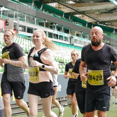 13.09.2026 - 21. swb-Marathon Bremen Michael Burmester http://msf.ph/oto/10475219 13.09.2026 10:38:41 Laufen im Stadion 10090, 10091, 10135, 10138, 10139, 10150, 10168, 10188, 10190, 10204, 10205, 10217, 10229, 10238, 10259, 10260, 10273, 10274, 10283, 10305, 10314, 10315, 10323, 10360, 10363, 10364, 10370, 10375, 10376, 10378, 10404, 10432, 10457, 10465, 10469, 10488, 10505, 10510, 10511, 10526, 10595, 10598, 10609, 10619, 10630, 10645, 10654, 10661, 10662, 10664, 10674, 10681, 10682, 10686, 10695, 10697, 10802, 10823 meine-sportfotos.de