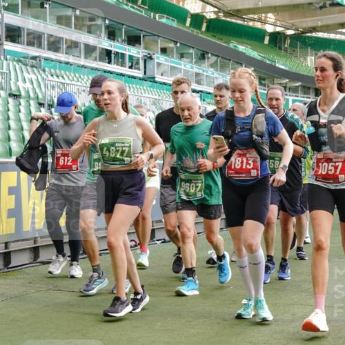13.09.2026 - 21. swb-Marathon Bremen Michael Burmester http://msf.ph/oto/10477735 13.09.2026 13:17:35 Laufen im Stadion 134, 153, 231, 267, 271, 311, 404, 449, 588, 732, 753, 837, 990, 1057, 1185, 1312, 1424, 1425, 1465, 1539, 1790, 1813, 1825, 1844, 1868, 1987, 2056, 2067, 2096, 2123, 2259, 2351, 2357, 2358, 2363, 2381, 2389, 2419, 2532, 2550, 2562, 2579, 2586, 2601, 2614, 2647, 2655, 2778, 2797, 2799, 2821, 2849, 2880, 2893, 2974, 2984, 2996, 2999, 3104, 3146, 3180, 3195, 3210, 3213, 3314, 3337, 3366, 3387, 3421, 3431, 3476, 3479, 3501, 3506, 3537, 3548, 3633, 3654, 3740 meine-sportfotos.de