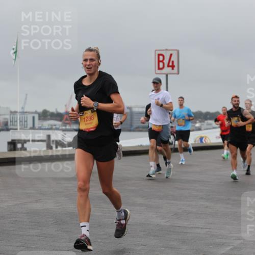 13.09.2026 - Kiel Lauf Andreas Tolksdorf http://msf.ph/oto/10479127 13.09.2026 11:52:31 Kiellinie 39, 1288, 4, 6150 meine-sportfotos.de