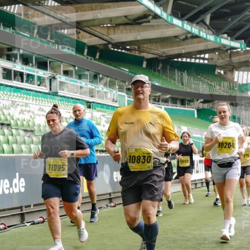 13.09.2026 - 21. swb-Marathon Bremen Michael Burmester http://msf.ph/oto/10479592 13.09.2026 10:41:10 Laufen im Stadion 10155, 10156, 10163, 10169, 10213, 10234, 10247, 10299, 10313, 10321, 10354, 10386, 10399, 10406, 10414, 10417, 10419, 10422, 10424, 10435, 10455, 10461, 10462, 10483, 10484, 10527, 10545, 10546, 10547, 10570, 10580, 10582, 10586, 10599, 10611, 10644, 10653, 10694, 10696, 10705, 10706, 10719, 10722, 10737, 10751, 10766, 10768, 10776, 10804, 10859, 10889, 10977, 11043, 11048 meine-sportfotos.de