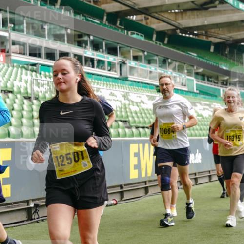 13.09.2026 - 21. swb-Marathon Bremen Michael Burmester http://msf.ph/oto/10479662 13.09.2026 10:41:14 Laufen im Stadion 10155, 10156, 10163, 10169, 10213, 10234, 10247, 10299, 10313, 10321, 10354, 10386, 10399, 10406, 10414, 10417, 10419, 10422, 10424, 10435, 10455, 10461, 10462, 10483, 10484, 10527, 10545, 10546, 10547, 10570, 10582, 10586, 10599, 10611, 10644, 10653, 10694, 10696, 10705, 10706, 10719, 10722, 10737, 10751, 10766, 10768, 10776, 10804, 10859, 10889, 10909, 10963, 10977, 11043, 11048 meine-sportfotos.de
