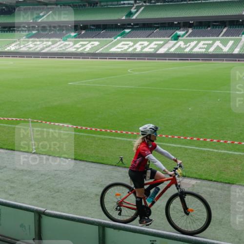 13.09.2026 - 21. swb-Marathon Bremen Michael Burmester http://msf.ph/oto/10488208 13.09.2026 10:14:50 Laufen im Stadion 13525, 13627 meine-sportfotos.de