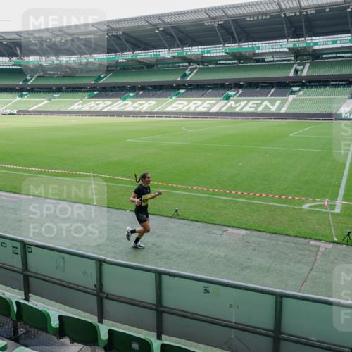 13.09.2026 - 21. swb-Marathon Bremen Michael Burmester http://msf.ph/oto/10488330 13.09.2026 10:22:37 Laufen im Stadion 10244, 10302, 10441, 10575, 10926, 11083, 11127, 11142, 11198, 11227, 11338, 11454, 11619, 11721, 11738, 11854, 11916, 11944, 12003, 12053, 12209, 12339, 12370, 12395, 12456, 12520, 12538, 13507, 13513, 13519, 13535, 13539, 13548, 13551, 13553, 13556, 13559, 13563, 13568, 13575, 13584, 13587, 13606, 13608, 13616, 13636, 13641, 10366, 10475, 11481, 11652, 12457, 13530, 13533, 13534, 13536, 13541, 13543, 13550, 13554, 13564 meine-sportfotos.de