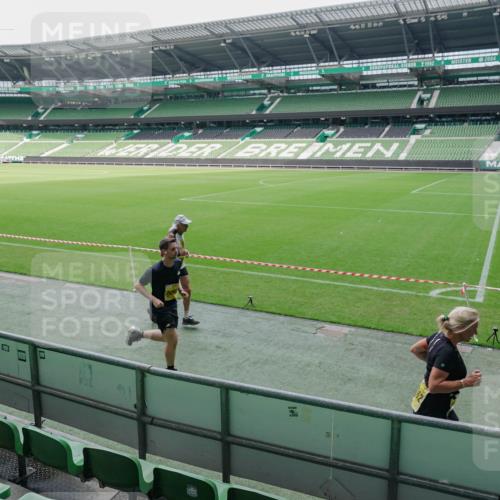 13.09.2026 - 21. swb-Marathon Bremen Michael Burmester http://msf.ph/oto/10488543 13.09.2026 10:29:35 Laufen im Stadion 10162, 10170, 10183, 10193, 10200, 10218, 10233, 10253, 10267, 10270, 10294, 10316, 10334, 10348, 10381, 10392, 10421, 10426, 10452, 10467, 10515, 10525, 10537, 10538, 10544, 10585, 10588, 10641, 10652, 10655, 10709, 10734, 10739, 10761, 10763, 10764, 10770, 10780, 10808, 10825, 10827, 10835, 10837, 10840, 10876, 10887, 10906, 10910, 10923, 10966, 10984, 10993, 11002, 11005, 11007, 11018, 11035, 11058, 11087, 11092, 11109, 11128 meine-sportfotos.de