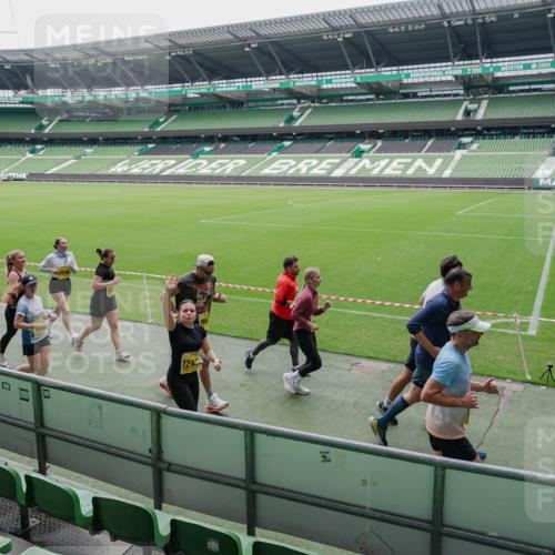 13.09.2026 - 21. swb-Marathon Bremen Michael Burmester http://msf.ph/oto/10488920 13.09.2026 10:37:11 Laufen im Stadion 10090, 10091, 10092, 10150, 10152, 10153, 10154, 10160, 10186, 10187, 10198, 10237, 10251, 10257, 10263, 10272, 10273, 10274, 10275, 10278, 10283, 10291, 10296, 10306, 10315, 10323, 10327, 10331, 10332, 10338, 10357, 10370, 10375, 10376, 10382, 10390, 10403, 10411, 10420, 10429, 10432, 10439, 10444, 10473, 10481, 10488, 10497, 10500, 10516, 10531, 10560, 10569, 10598, 10607, 10613, 10633, 10647, 10648, 10654, 10659, 10663, 10671, 10672, 10674 meine-sportfotos.de