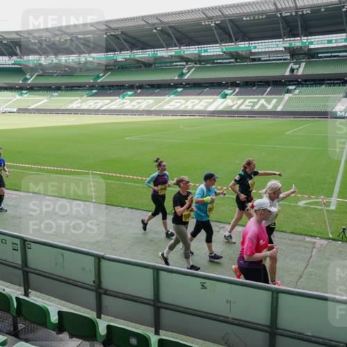 13.09.2026 - 21. swb-Marathon Bremen Michael Burmester http://msf.ph/oto/10489075 13.09.2026 10:40:02 Laufen im Stadion 10135, 10138, 10139, 10156, 10169, 10204, 10213, 10217, 10229, 10234, 10238, 10259, 10279, 10280, 10299, 10314, 10321, 10354, 10360, 10363, 10364, 10378, 10386, 10404, 10406, 10417, 10424, 10435, 10455, 10457, 10469, 10484, 10493, 10501, 10505, 10510, 10511, 10545, 10556, 10570, 10576, 10580, 10582, 10595, 10599, 10609, 10611, 10616, 10619, 10630, 10653, 10660, 10662, 10664, 10686, 10694, 10696, 10712, 10737, 10743, 10751 meine-sportfotos.de
