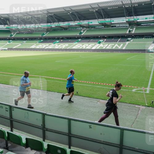 13.09.2026 - 21. swb-Marathon Bremen Michael Burmester http://msf.ph/oto/10489103 13.09.2026 10:40:27 Laufen im Stadion 10135, 10138, 10139, 10155, 10156, 10169, 10204, 10213, 10217, 10229, 10234, 10279, 10280, 10299, 10313, 10314, 10321, 10354, 10363, 10364, 10378, 10386, 10399, 10404, 10406, 10417, 10419, 10424, 10435, 10455, 10483, 10484, 10493, 10501, 10505, 10510, 10511, 10527, 10545, 10556, 10570, 10576, 10580, 10582, 10586, 10599, 10609, 10611, 10616, 10619, 10644, 10653, 10660, 10662, 10664, 10686, 10694, 10696, 10706, 10712, 10737, 10743, 10751, 10766, 10768 meine-sportfotos.de