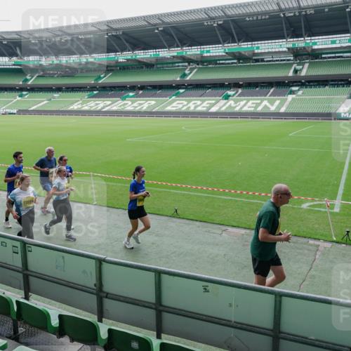13.09.2026 - 21. swb-Marathon Bremen Michael Burmester http://msf.ph/oto/10489147 13.09.2026 10:41:22 Laufen im Stadion 10155, 10156, 10163, 10169, 10213, 10247, 10299, 10313, 10321, 10354, 10386, 10399, 10406, 10414, 10417, 10419, 10422, 10424, 10435, 10455, 10461, 10462, 10483, 10519, 10527, 10545, 10546, 10547, 10570, 10582, 10586, 10599, 10611, 10644, 10653, 10694, 10696, 10705, 10706, 10719, 10722, 10751, 10766, 10768, 10776, 10804, 10859, 10889, 10909, 10963, 10977, 11043, 11239 meine-sportfotos.de