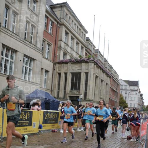 13.09.2026 - Kiel Lauf Yannick Fuchs http://msf.ph/oto/10491063 13.09.2026 11:52:49 Laufen 2871 meine-sportfotos.de