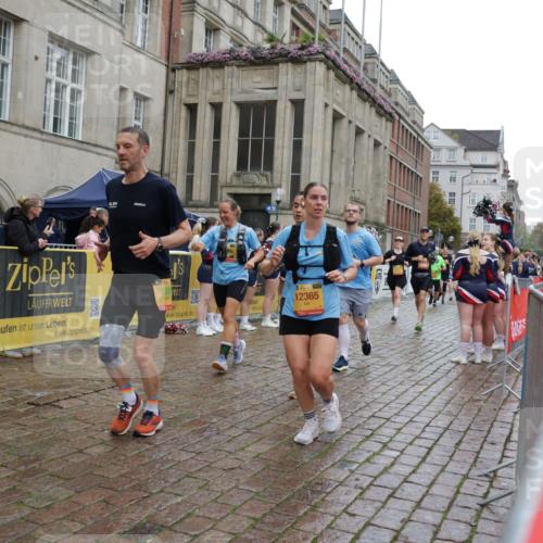 13.09.2026 - Kiel Lauf Yannick Fuchs http://msf.ph/oto/10491091 13.09.2026 11:53:13 Laufen 39, 12365 meine-sportfotos.de