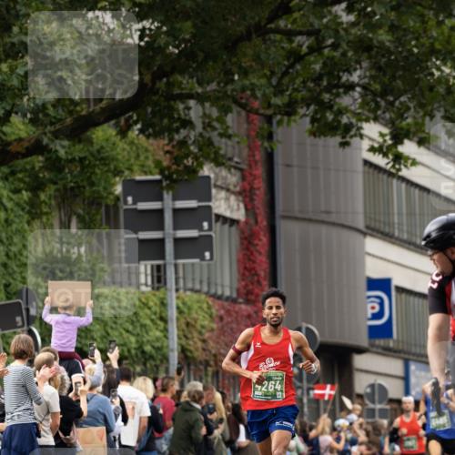 13.09.2026 - 21. swb-Marathon Bremen jh.framed http://msf.ph/oto/10491479 13.09.2026 10:30:52 Laufen 4264 meine-sportfotos.de