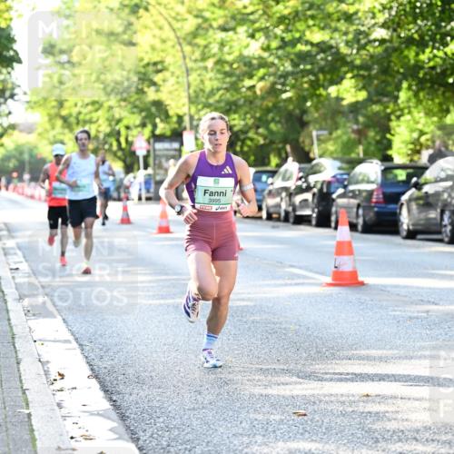 20.09.2026 - PSD Bank Halbmarathon Dr. Thomas Lammeyer http://msf.ph/oto/10492063 20.09.2026 10:31:14 Laufen 3995 meine-sportfotos.de