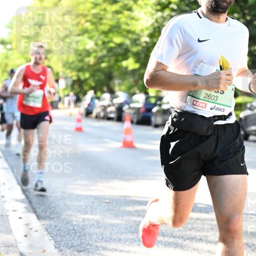 20.09.2026 - PSD Bank Halbmarathon Dr. Thomas Lammeyer http://msf.ph/oto/10492582 20.09.2026 10:33:24 Laufen 93, 2603 meine-sportfotos.de