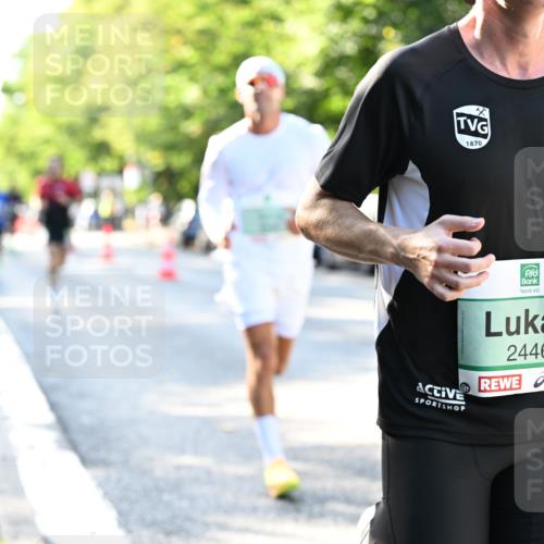 20.09.2026 - PSD Bank Halbmarathon Dr. Thomas Lammeyer http://msf.ph/oto/10492610 20.09.2026 10:33:28 Laufen 1870, 2446 meine-sportfotos.de